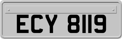 ECY8119