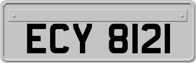 ECY8121