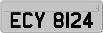 ECY8124
