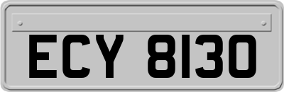ECY8130