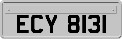 ECY8131