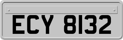 ECY8132