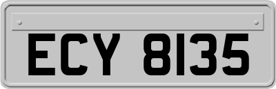 ECY8135
