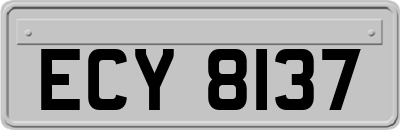 ECY8137
