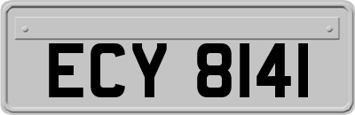 ECY8141