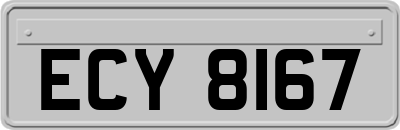 ECY8167