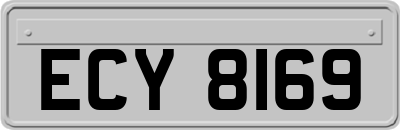 ECY8169