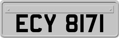 ECY8171