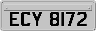 ECY8172