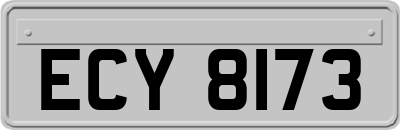 ECY8173