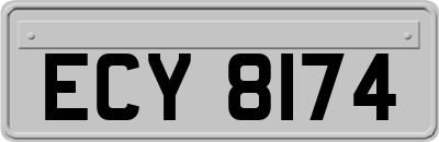 ECY8174