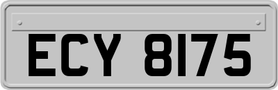 ECY8175