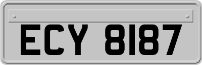 ECY8187
