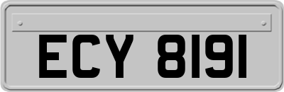 ECY8191