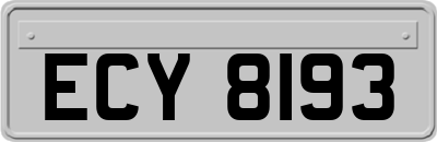 ECY8193