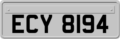 ECY8194