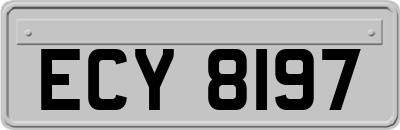 ECY8197
