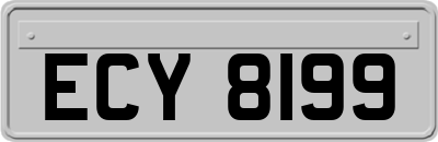 ECY8199
