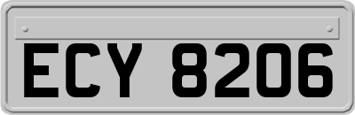 ECY8206