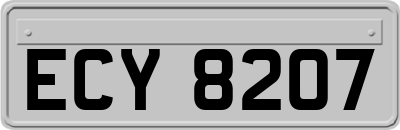 ECY8207