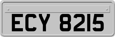 ECY8215