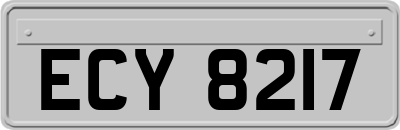 ECY8217