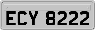 ECY8222