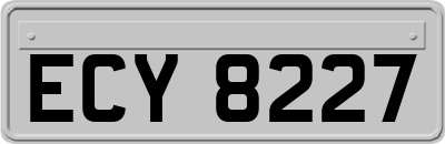 ECY8227