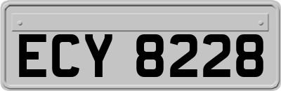 ECY8228