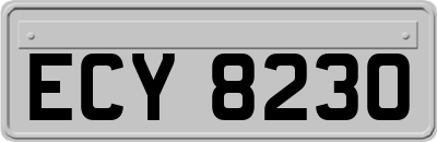 ECY8230