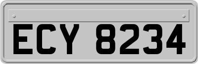 ECY8234