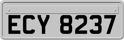 ECY8237
