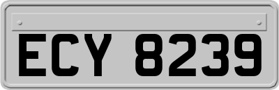 ECY8239