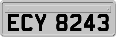 ECY8243