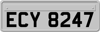 ECY8247