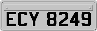 ECY8249