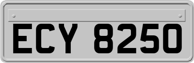 ECY8250