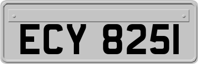ECY8251