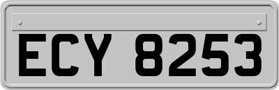 ECY8253