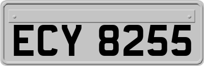 ECY8255