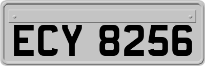 ECY8256