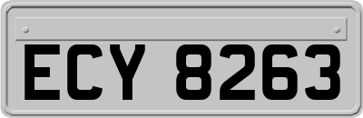 ECY8263