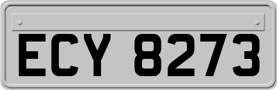 ECY8273