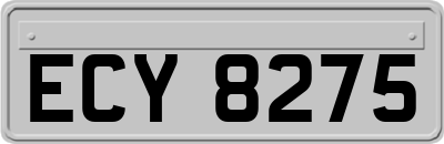 ECY8275
