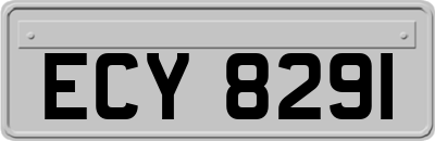 ECY8291
