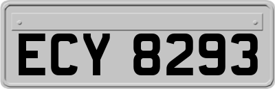 ECY8293