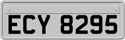 ECY8295