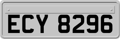 ECY8296