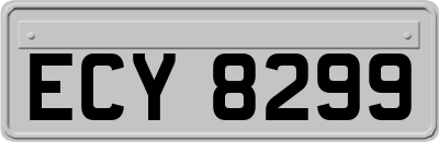ECY8299