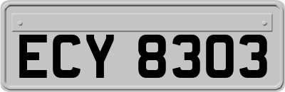 ECY8303